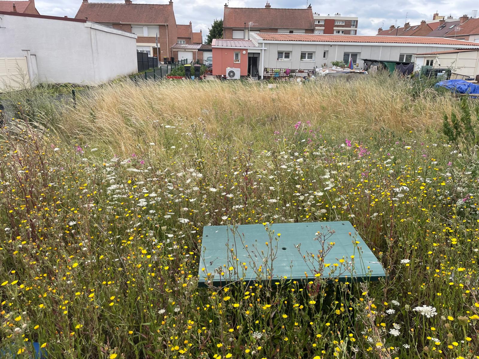 Comment évoluer vers des méthodes plus durables et respectueuses de l’environnement ? Comment évoluer vers des méthodes plus durables et respectueuses de l’environnement ?