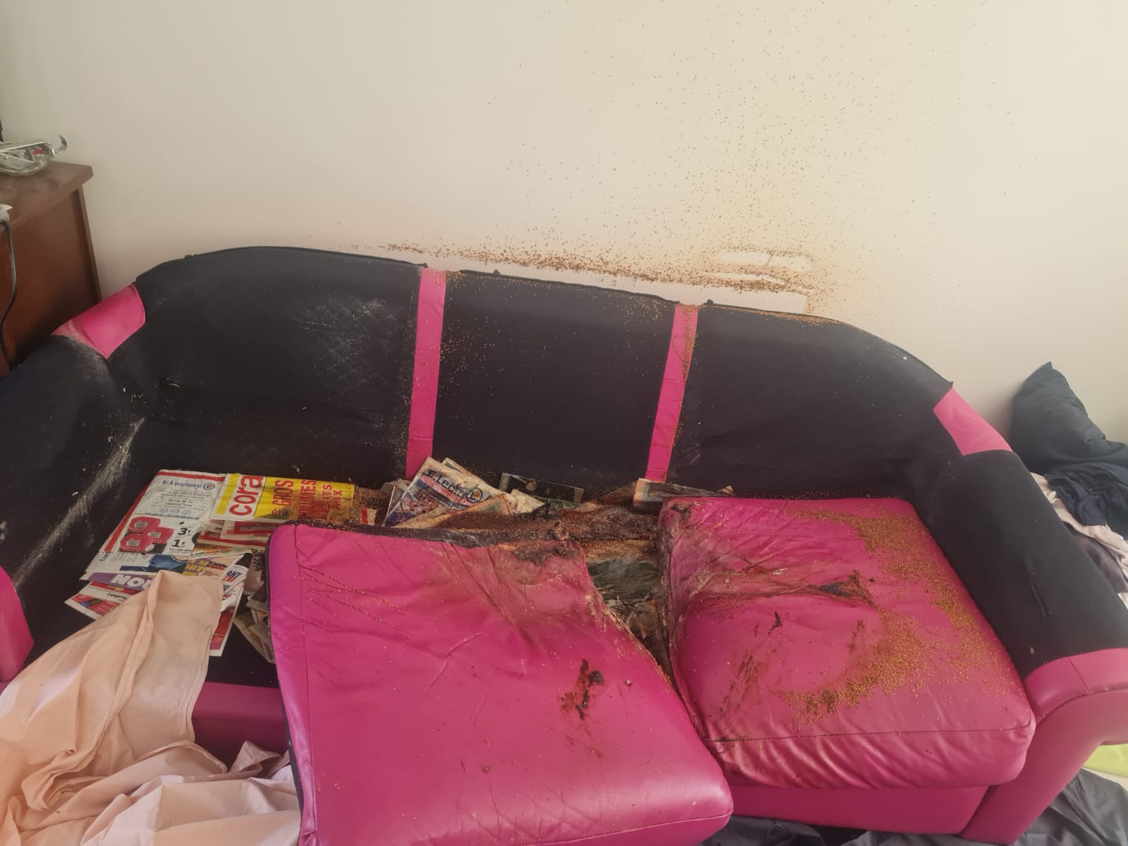 Comment les professionnels de SOS DC atteignent les zones difficiles d’accès à Aulnay-sous-Bois et dans les environs WhatsApp Image 2025 04 18 A 17.15.46 7c03292f